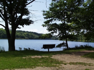 r057.jpg