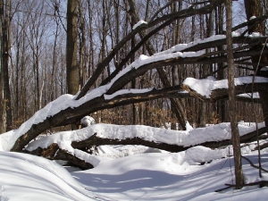 r006.jpg