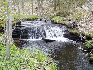 r012.jpg