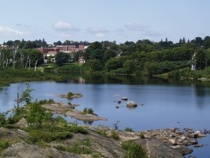 r017.jpg