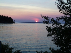 r028.jpg