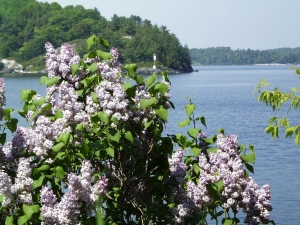 r059.jpg