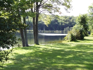 r115.jpg