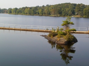 r131.jpg