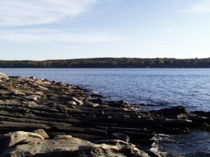 r166.jpg