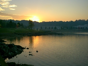 r202.jpg
