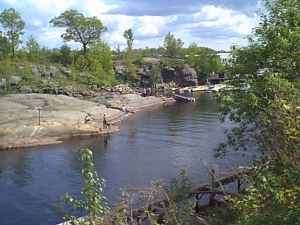 r219.jpg