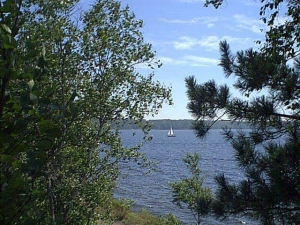 r274.jpg