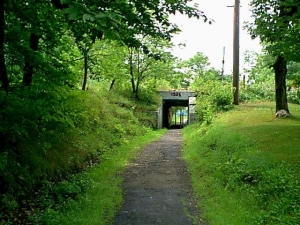 r282.jpg