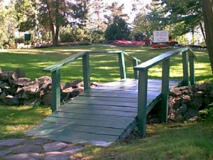 r291.jpg